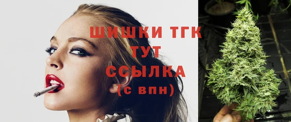 индика Балахна