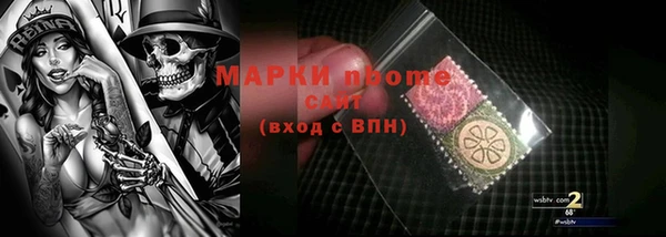 индика Балахна