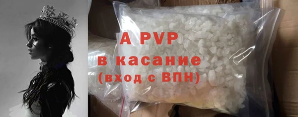 индика Балахна