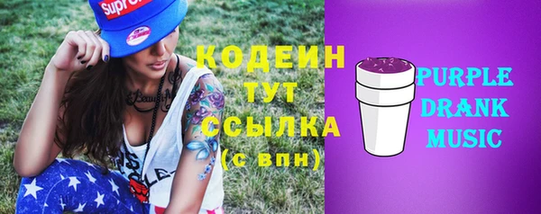 индика Балахна