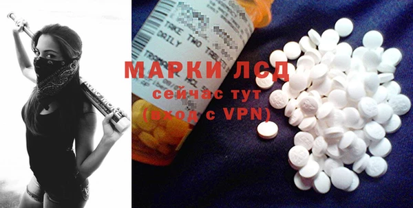 индика Балахна