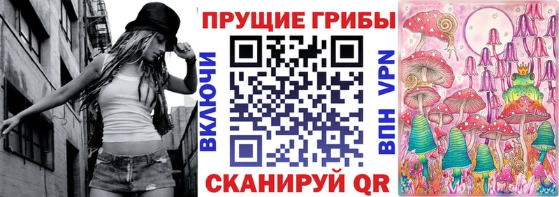 Псилоцибиновые грибы Psilocybine cubensis  как найти наркотики  Белозерск 